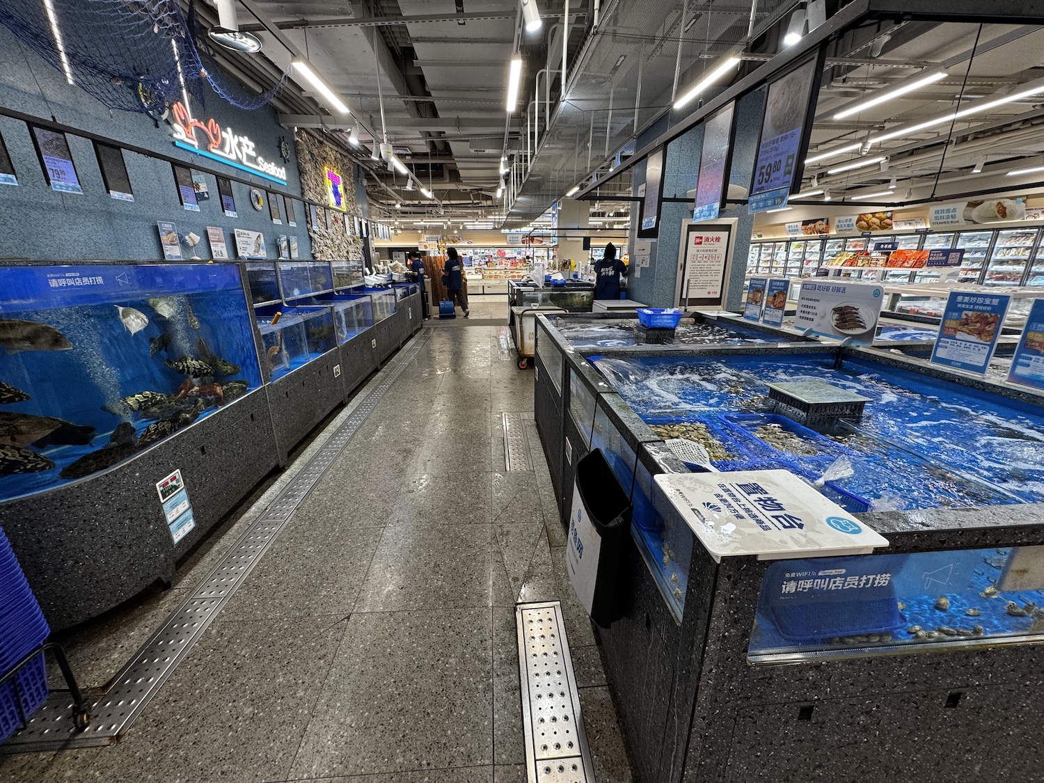 In a supermarket, aquariums are filled with live fish for consumption